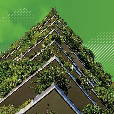 2022: The Year in Review thumbnail